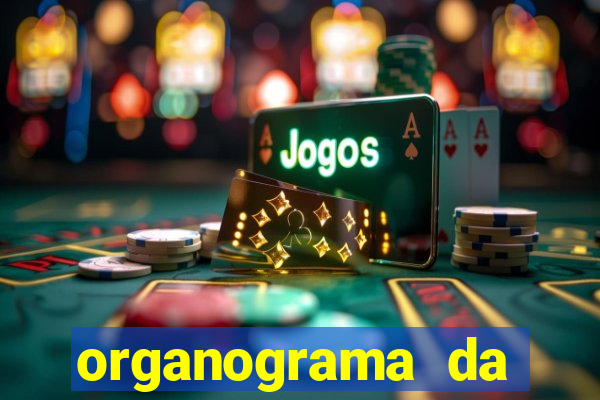 organograma da cacau show